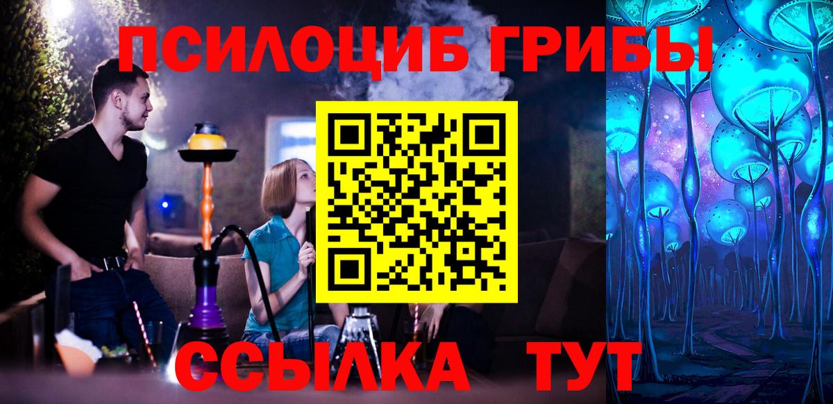 Галлюциногенные грибы Magic Shrooms  Псилоцибиновые грибы прущие грибы  наркота  Дедовск  Вход с VPN 